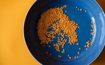 Ensalada de lentejas: Receta rápida y sencilla